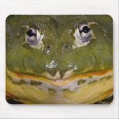 Afrikanischer Burrowing Bullfrog, Pyxicephalus Mousepad (Vorne)