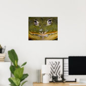 Afrikanischer Burrowing Bullfrog, Pyxicephalus Poster (Heimbüro)