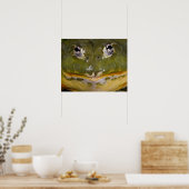 Afrikanischer Burrowing Bullfrog, Pyxicephalus Poster (Küche)