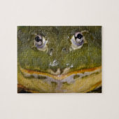 Afrikanischer Burrowing Bullfrog, Pyxicephalus Puzzle (Horizontal)