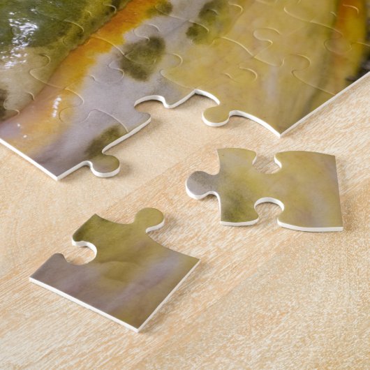 Afrikanischer Burrowing Bullfrog, Pyxicephalus Puzzle (Seite)