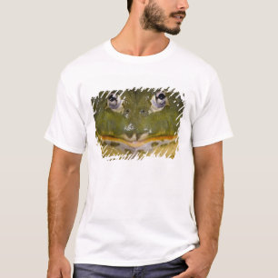 Afrikanischer Burrowing Bullfrog, Pyxicephalus T-Shirt