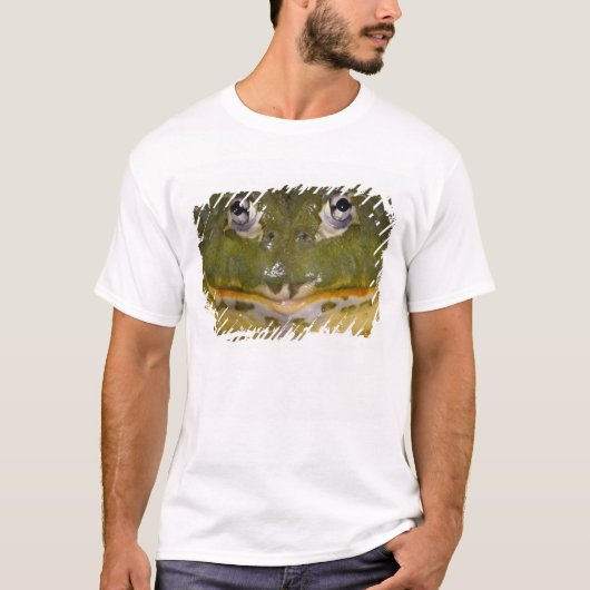 Afrikanischer Burrowing Bullfrog, Pyxicephalus T-Shirt (Vorderseite)