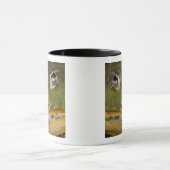 Afrikanischer Burrowing Bullfrog, Pyxicephalus Tasse (Zentrum)