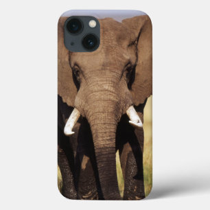 Afrikanischer Busch-Elefant Case-Mate iPhone Hülle