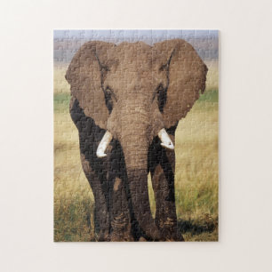 Afrikanischer Busch-Elefant Puzzle