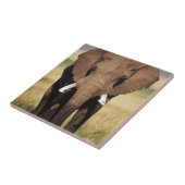 Afrikanischer Buschelefant Fliese (Seite)