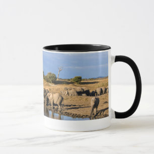 Afrikanischer Buschelefant (Loxodonta Africana) He Tasse