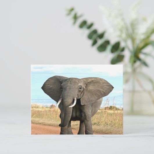 Afrikanischer Bush Elephant Marching zum Erfolgszi Postkarte (Stehend Vorderseite)