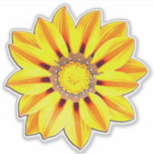 Afrikanischer Daisy/Gazania Orange und Gelb Aufkleber (Vorderseite)