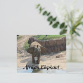 Afrikanischer Elefant # 6 Postkarte (Stehend Vorderseite)