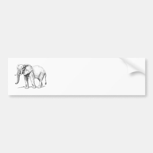 Afrikanischer Elefant Autoaufkleber (Vorne)