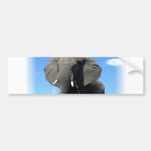 Afrikanischer Elefant-Autoaufkleber Autoaufkleber (Vorne)