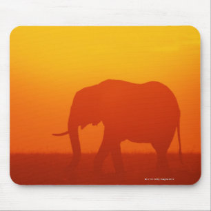 Afrikanischer Elefant bei Sonnenuntergang , Kenia Mousepad