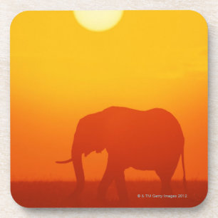 Afrikanischer Elefant, der am Sonnenuntergang, Getränkeuntersetzer