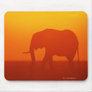 Afrikanischer Elefant, der am Sonnenuntergang Mousepad