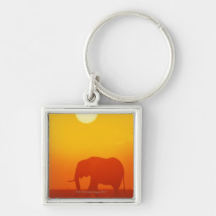 Afrikanischer Elefant, der am Sonnenuntergang, Schlüsselanhänger