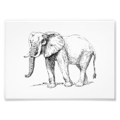 Afrikanischer Elefant Fotodruck (Vorne)