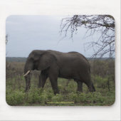 Afrikanischer Elefant für Wildlife Supporter Mouse Mousepad (Vorne)