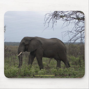 Afrikanischer Elefant für Wildlife Supporter Mouse Mousepad