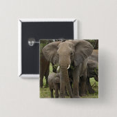 Afrikanischer Elefant | Herde Button (Vorne & Hinten)