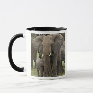 Afrikanischer Elefant   Herde Tasse