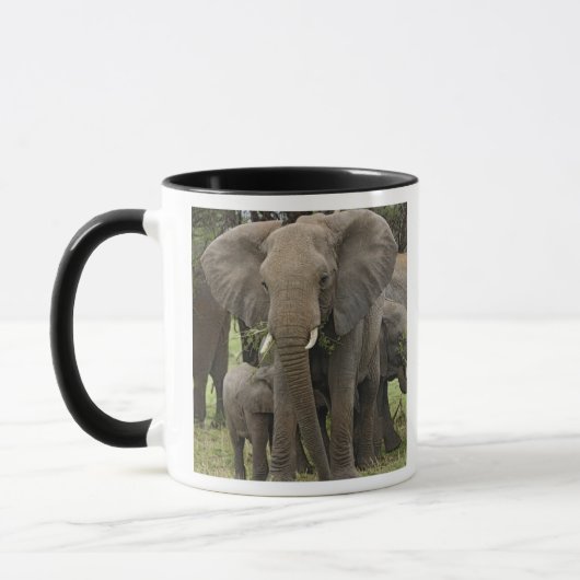 Afrikanischer Elefant | Herde Tasse (Links)