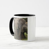 Afrikanischer Elefant | Herde Tasse (Vorderseite Links)