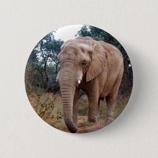 Afrikanischer Elefant im Busch Button (Vorderseite)