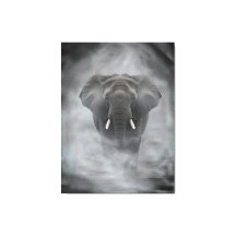 Afrikanischer Elefant im nebligen Dunst Serene Imp