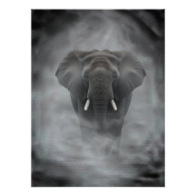 Afrikanischer Elefant im nebligen Dunst Serene Imp