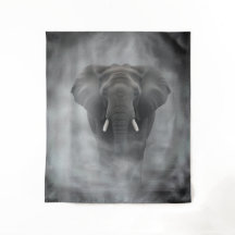 Afrikanischer Elefant im nebligen Dunst Serene Imp