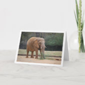 Afrikanischer Elefant im Park Karte (Vorderseite)