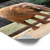 Afrikanischer Elefant im Park Poster (Ecke)