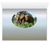 Afrikanischer Elefant in der Safari (Innenansicht Horizontal (Unten))