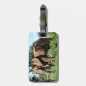 Afrikanischer Elefant in der Safari Gepäckanhänger (Rückseite vertikal)