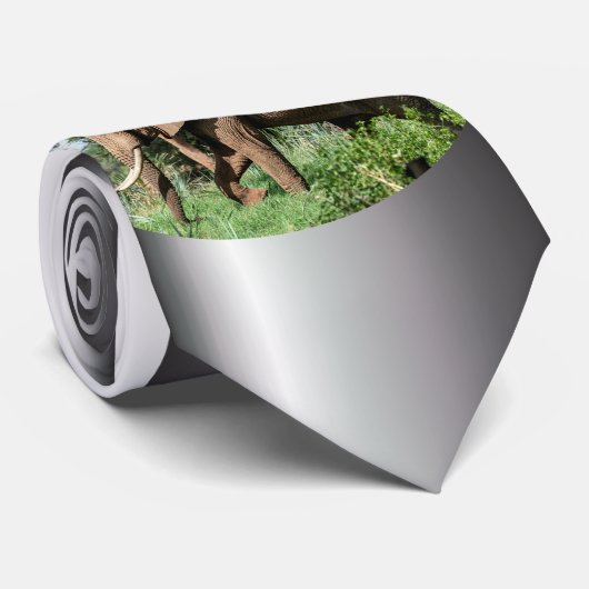 Afrikanischer Elefant in der Safari Krawatte (Gerollt)