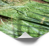 Afrikanischer Elefant in der Safari Poster (Ecke)