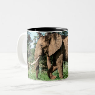 Afrikanischer Elefant in der Safari Zweifarbige Tasse