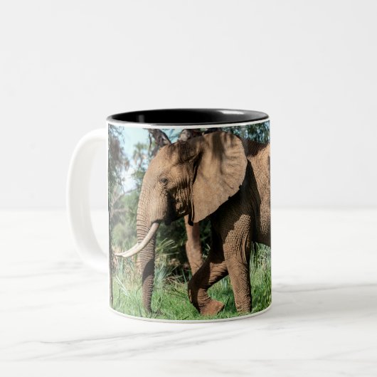 Afrikanischer Elefant in der Safari Zweifarbige Tasse (Vorderseite Links)