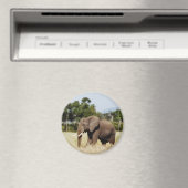 Afrikanischer Elefant in Masai Mara, kenianischer  Magnet (In Situ (Geschirrspüler))