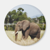 Afrikanischer Elefant in Masai Mara, kenianischer Magnet (Vorne)