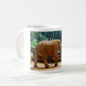 Afrikanischer Elefant Kaffeetasse (Vorderseite Links)