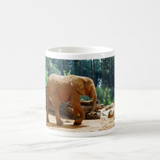 Afrikanischer Elefant Kaffeetasse (Mittel)