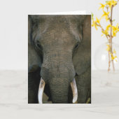 Afrikanischer Elefant Karte (Gelbe Blume)