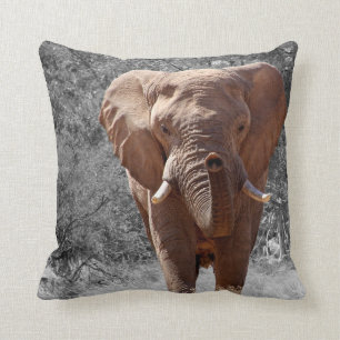Afrikanischer Elefant Kissen