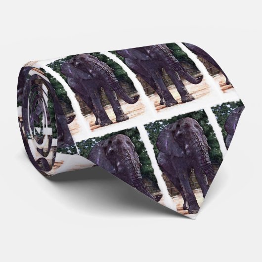 Afrikanischer Elefant Krawatte (Gerollt)