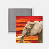 Afrikanischer Elefant - Kühlschrankmagnet (Vorderseite/Rückseite)