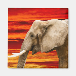 Afrikanischer Elefant - Kühlschrankmagnet