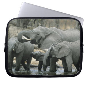 Afrikanischer Elefant, (Loxodonta africana), trink Laptopschutzhülle